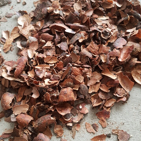 kulit-coklat-iklan-1