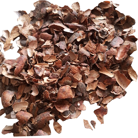 kulit-coklat-iklan-1b