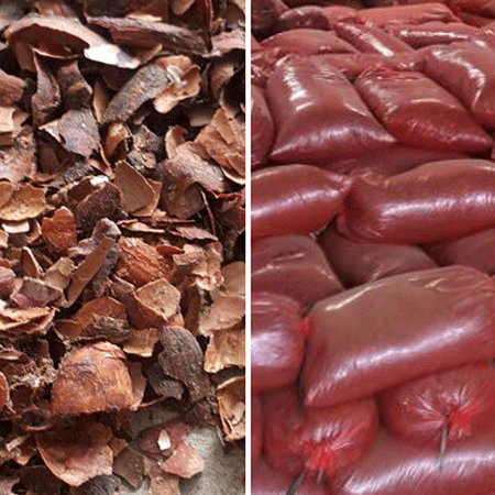 kulit-coklat-iklan-2